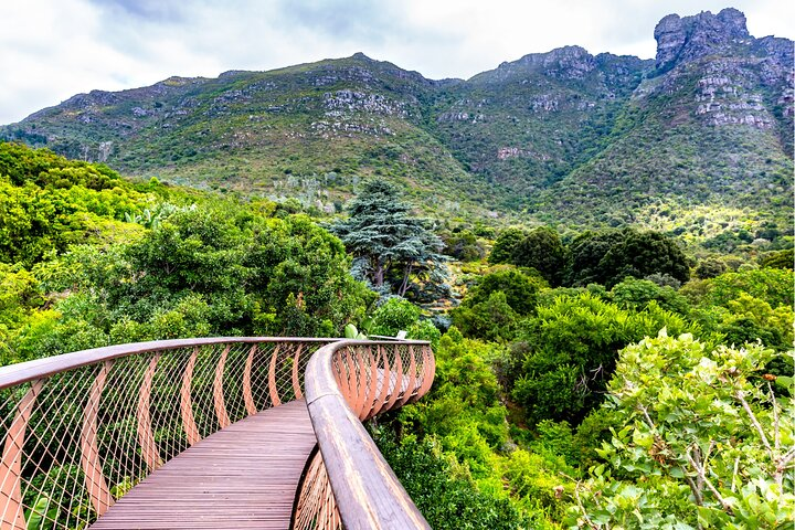 Kirstenbosch and Table Mountain Tour  - Photo 1 of 15